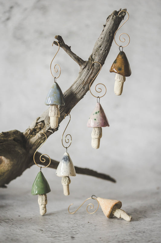 Brown swamp mushroom