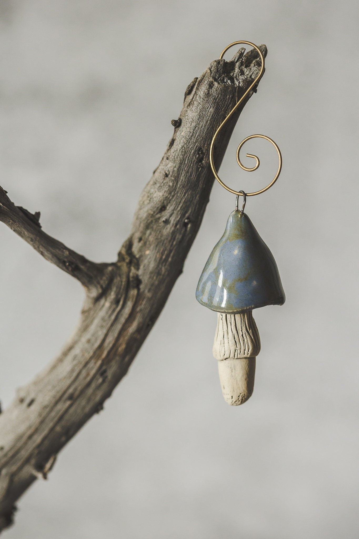 Swamp blue mushroom