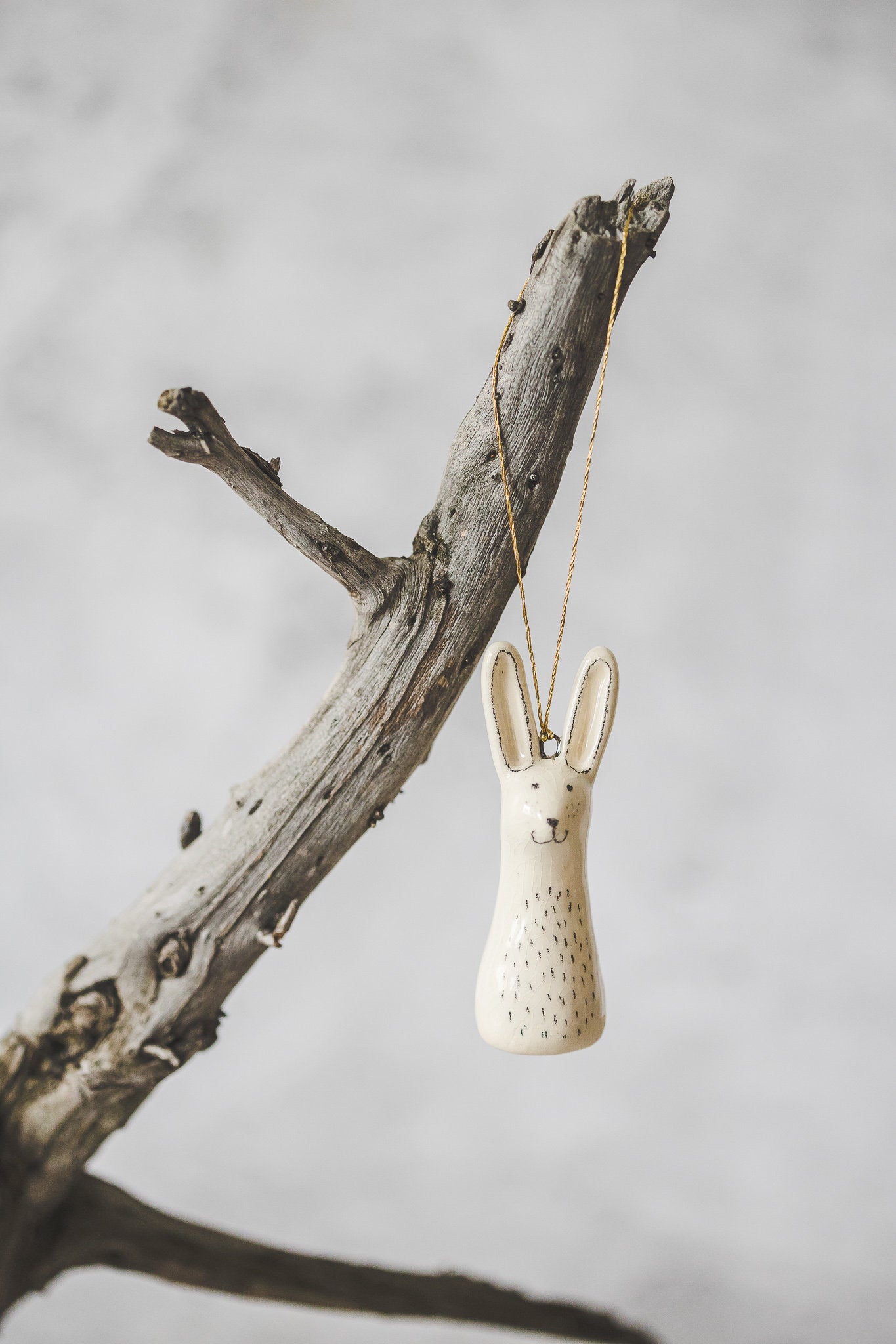 Woodland hare