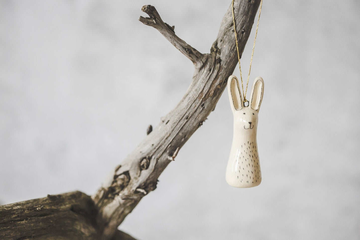 Woodland hare