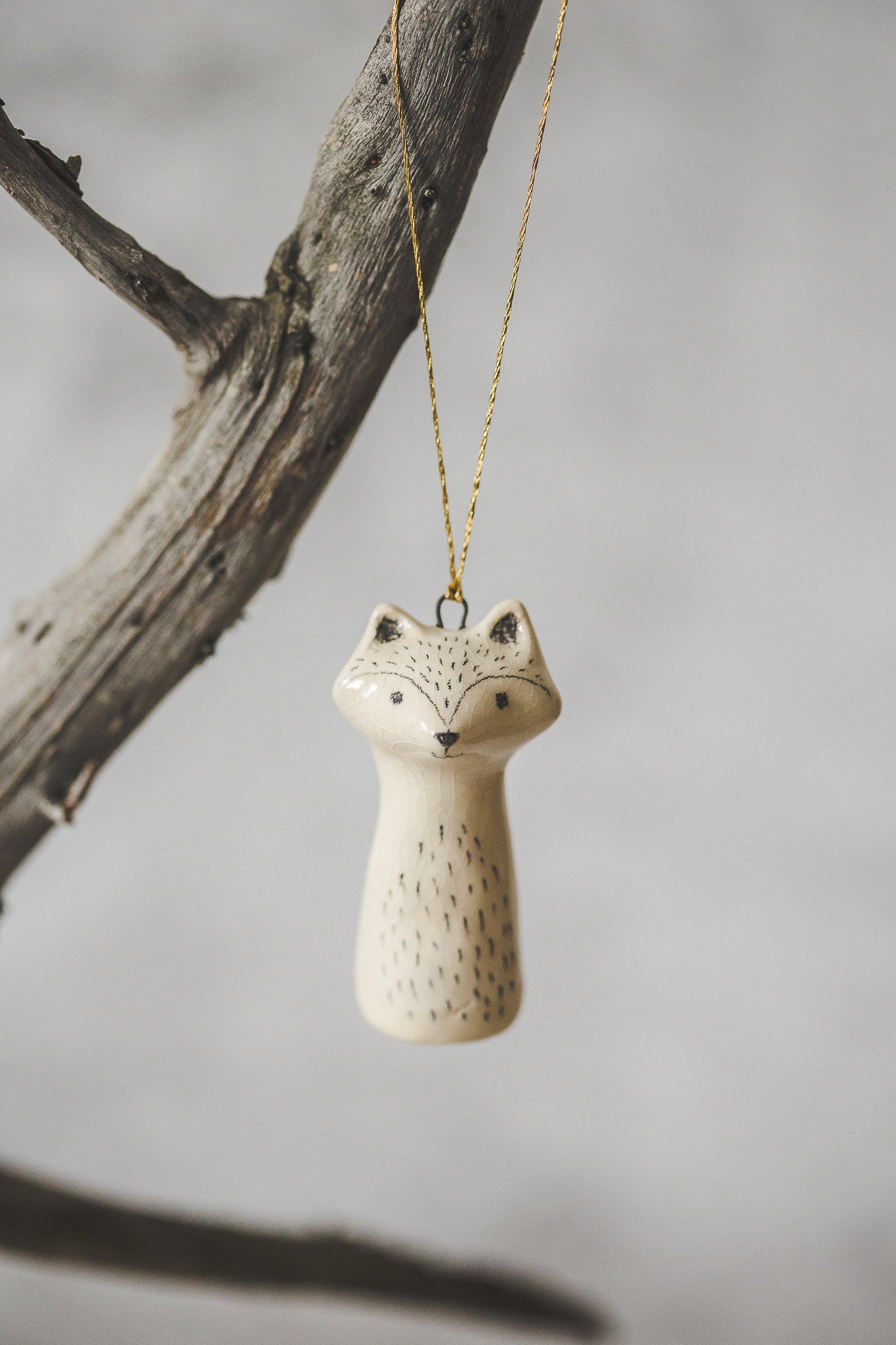 Raccoon ornament