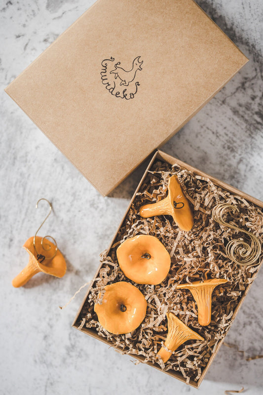 Chanterelle mushrooms set