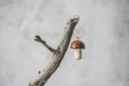 Chanterelle and boletus mushrooms