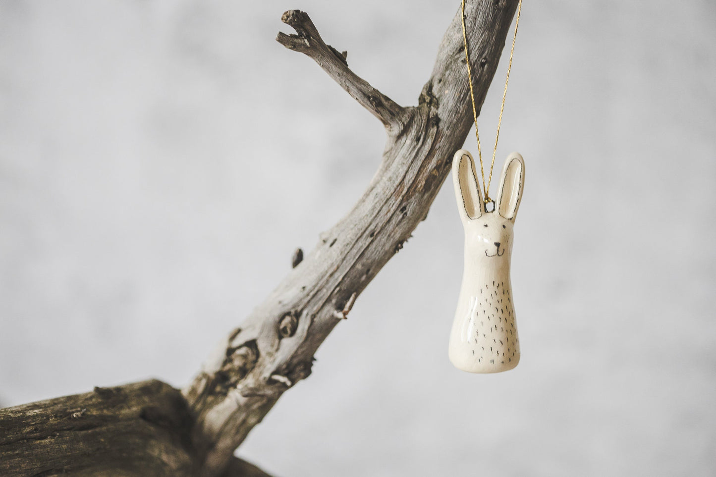 Wild animals ornaments