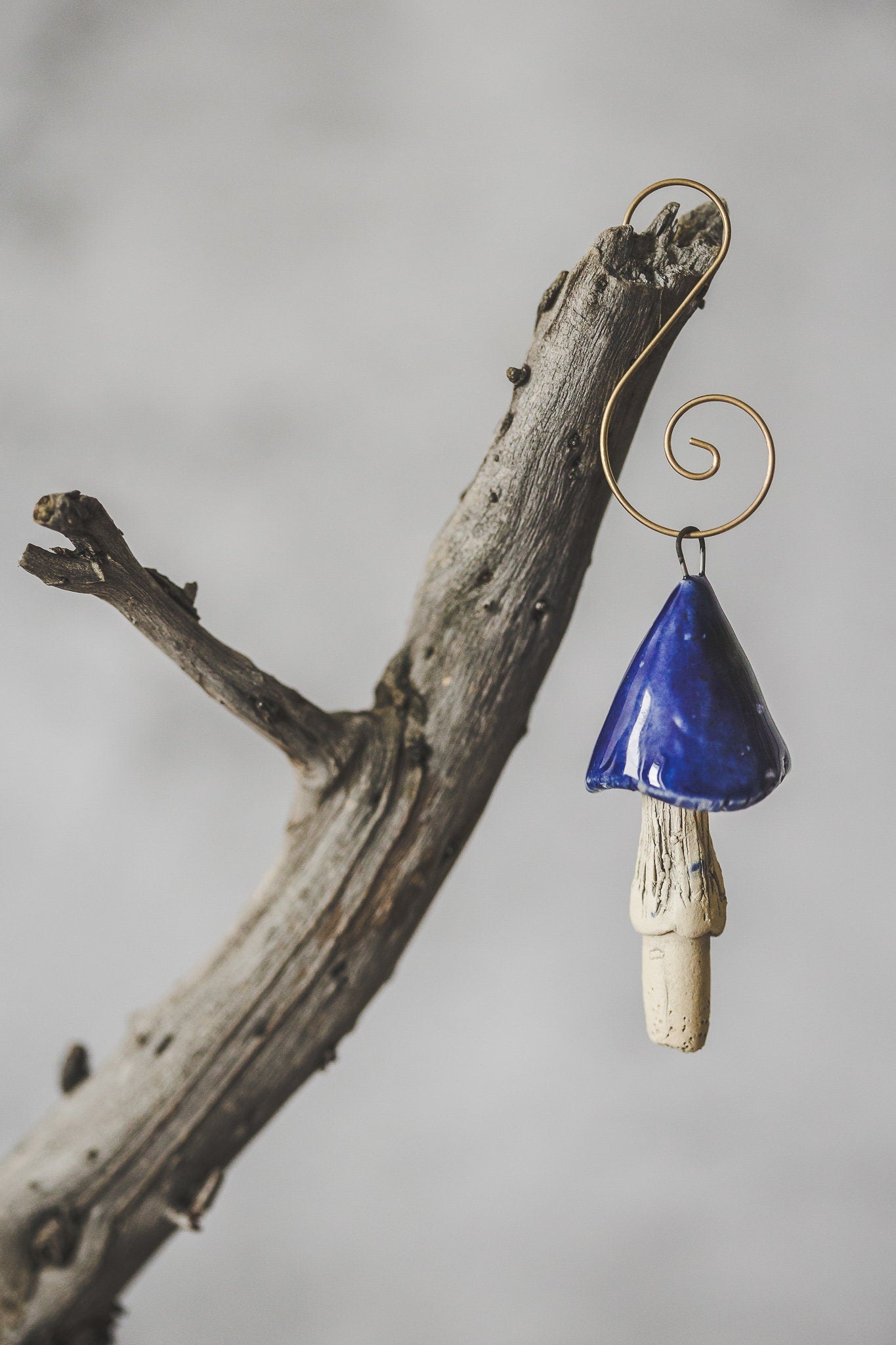 Dark blue mushroom