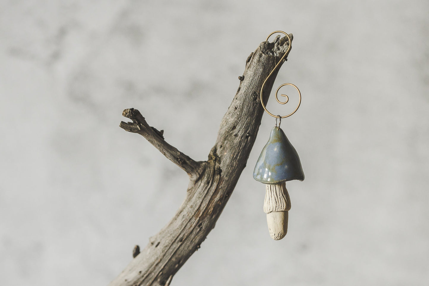 Swamp blue mushroom