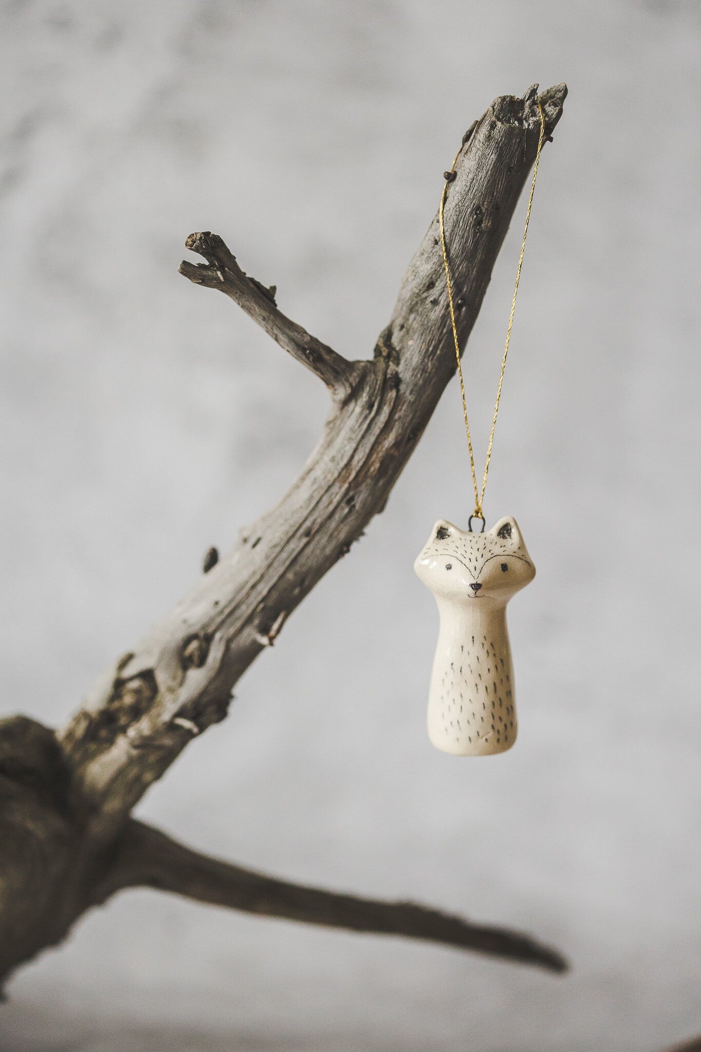 Raccoon ornament