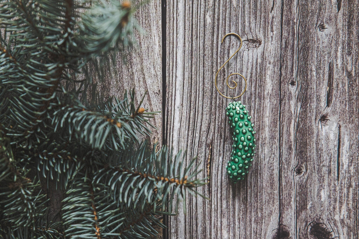 Green Christmas cucumber