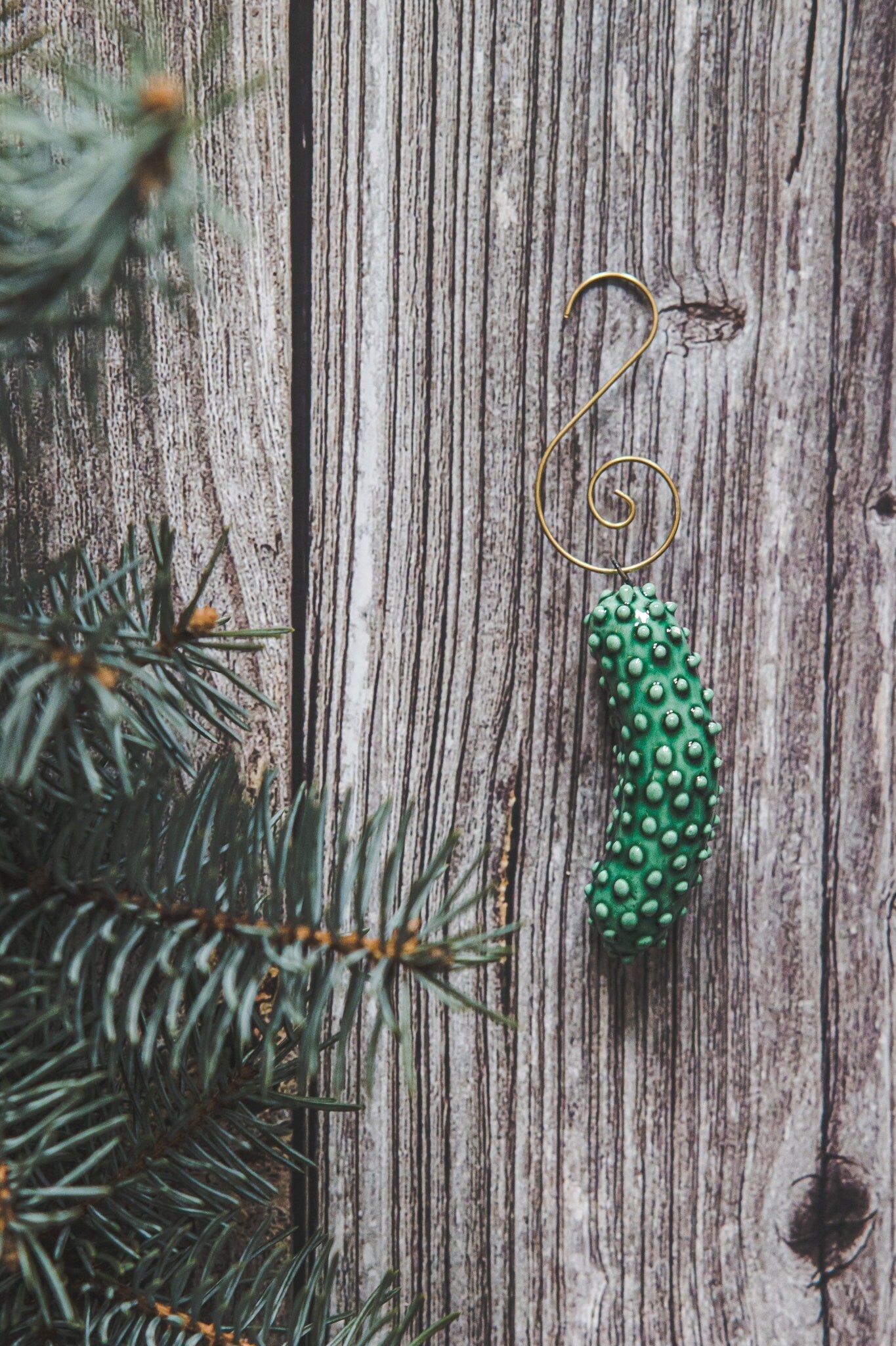 Green Christmas cucumber