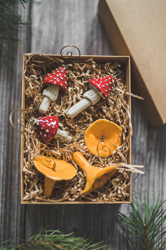 Chanterelle and toadstool mushrooms