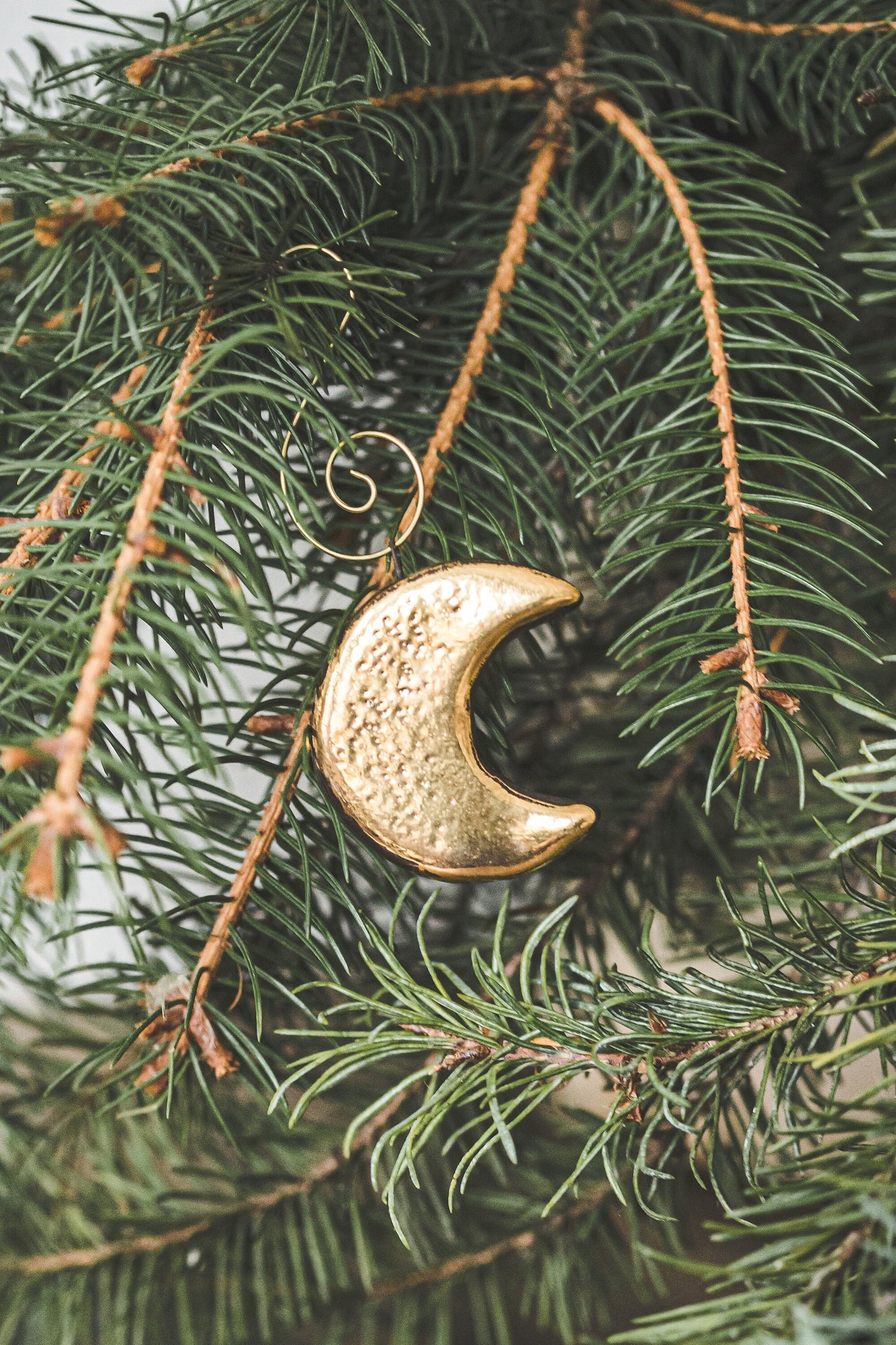Golden moon