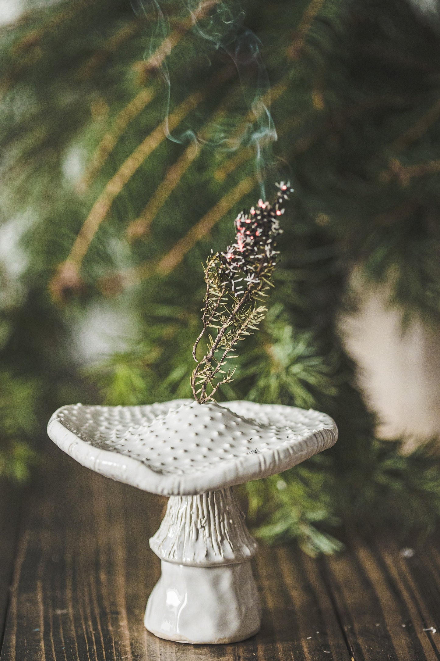 White mushroom incense holder