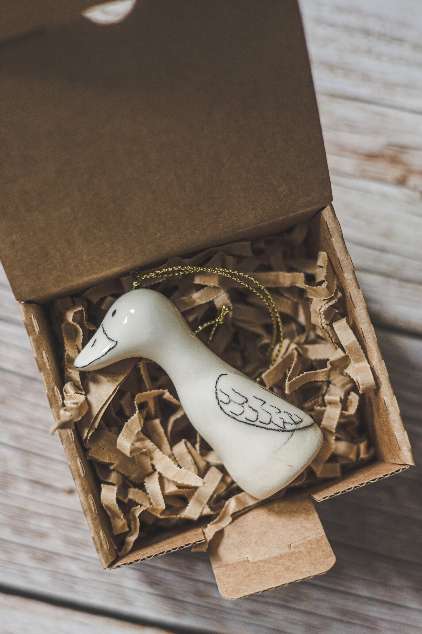 Farm duck