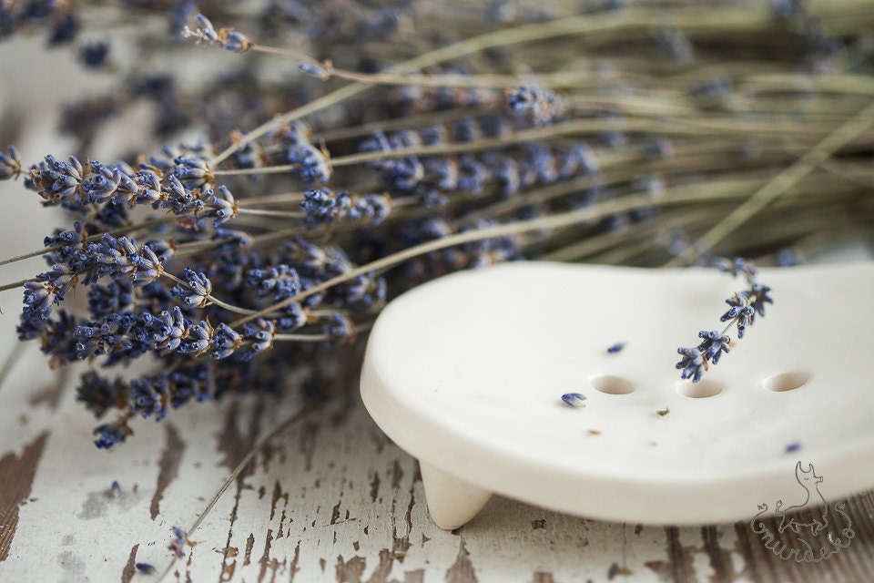 White soap dish