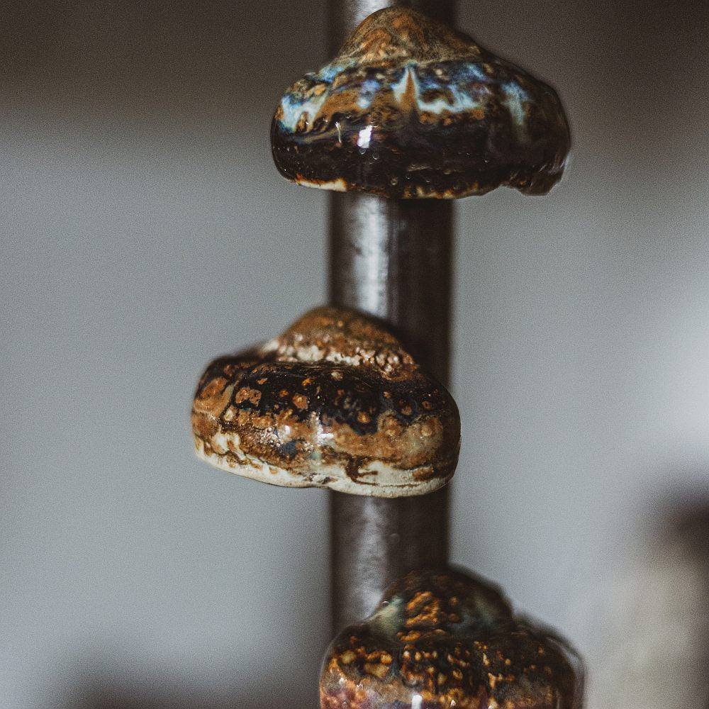 bracket fungi fridge magnet