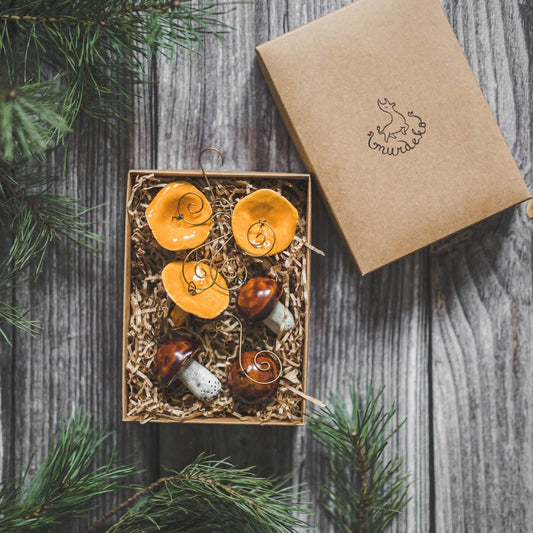 Christmas ornament set of six brown boletus and orange chanterelle mushrooms. Packed in a gift box with hooks.