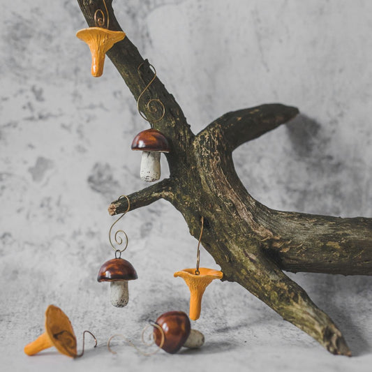 Christmas ornament set of six brown boletus and orange chanterelle mushrooms. Packed in a gift box with hooks.